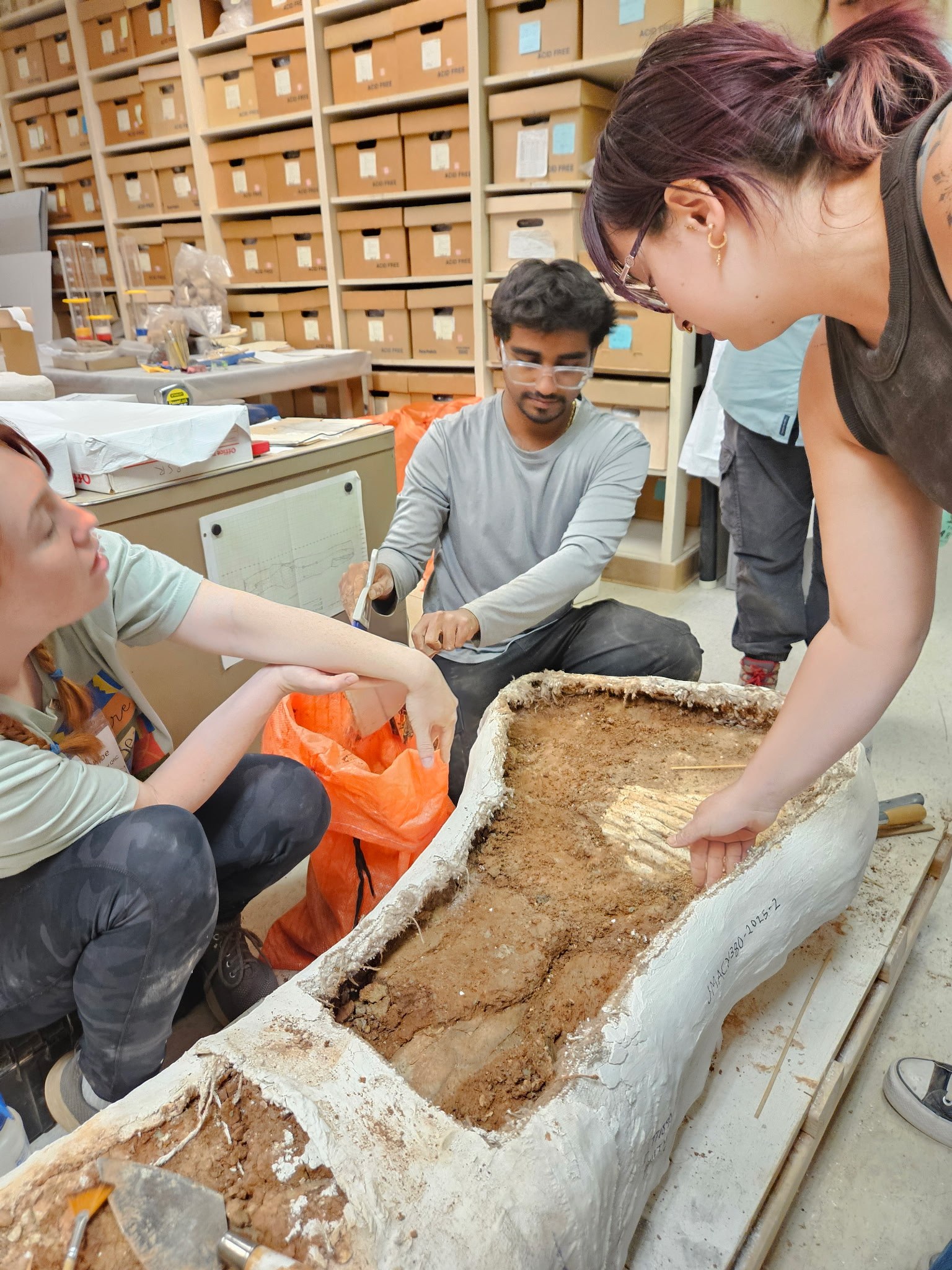Ayon Wickramasinghe excavating fossil material in the field