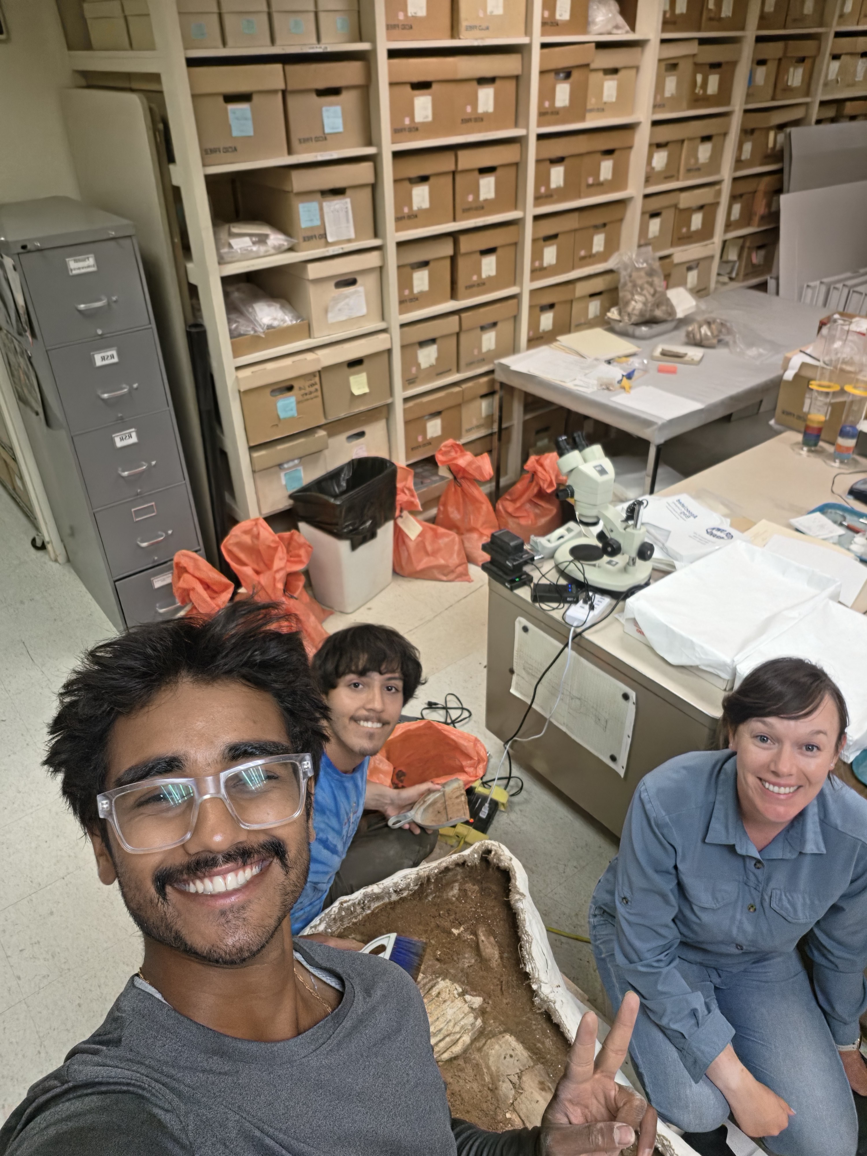 Plaster-and-burlap fossil jacket being prepared during fieldwork
