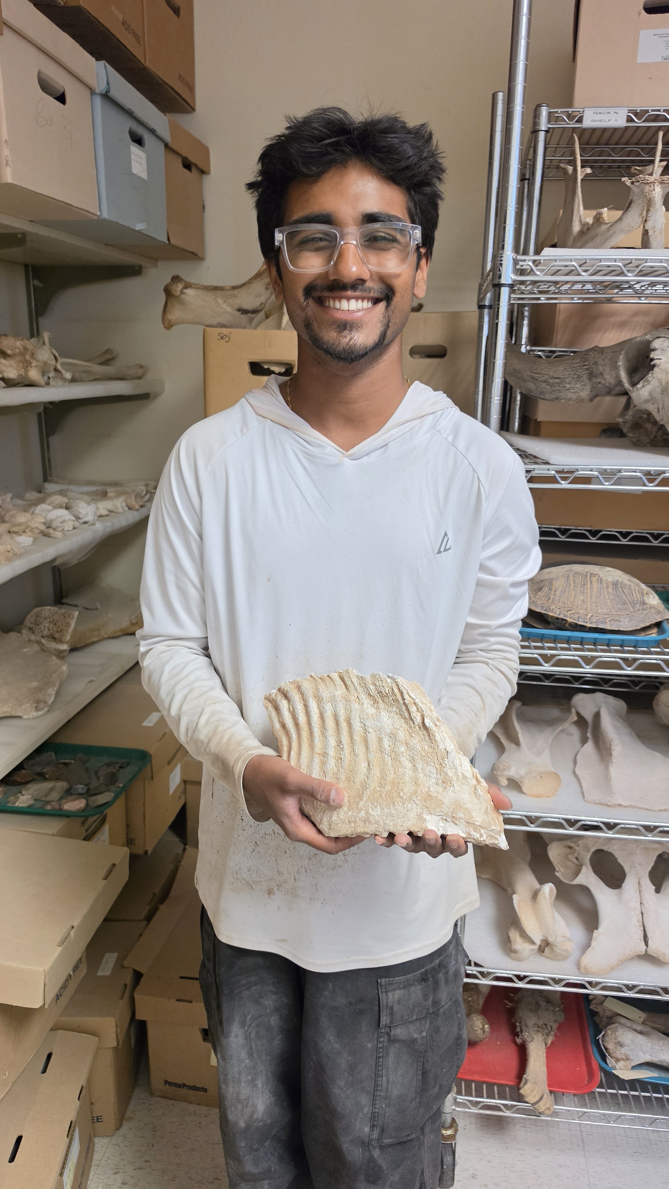 Fossil specimen work during the field season